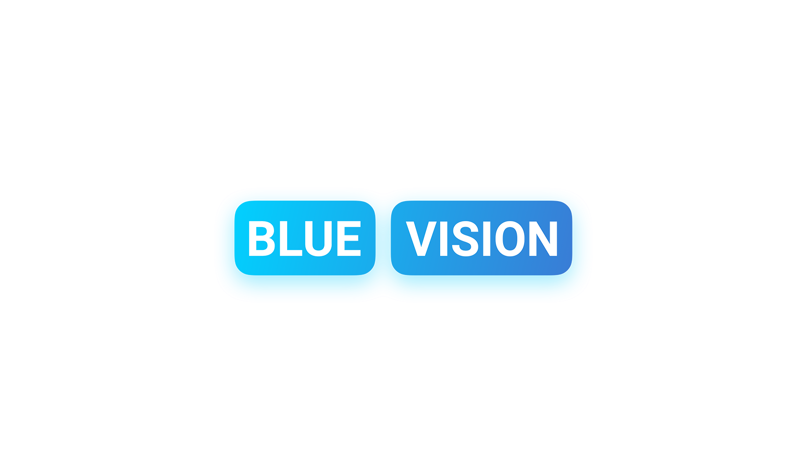 Blue Vision Labs